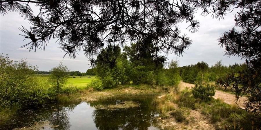 Bericht Ecologische Autoriteit: Adviezen drie Noord-Brabantse natuurgebieden bekijken